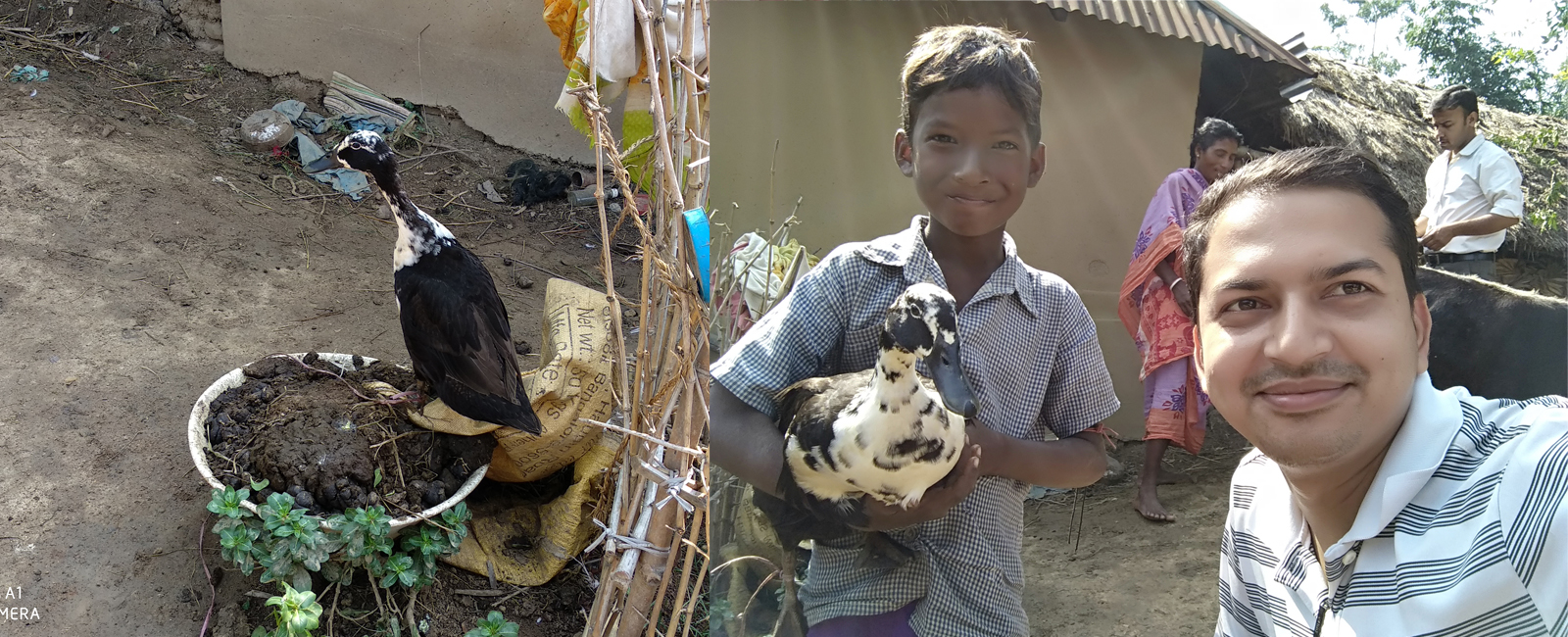 M & D Development Trust (MDDT)