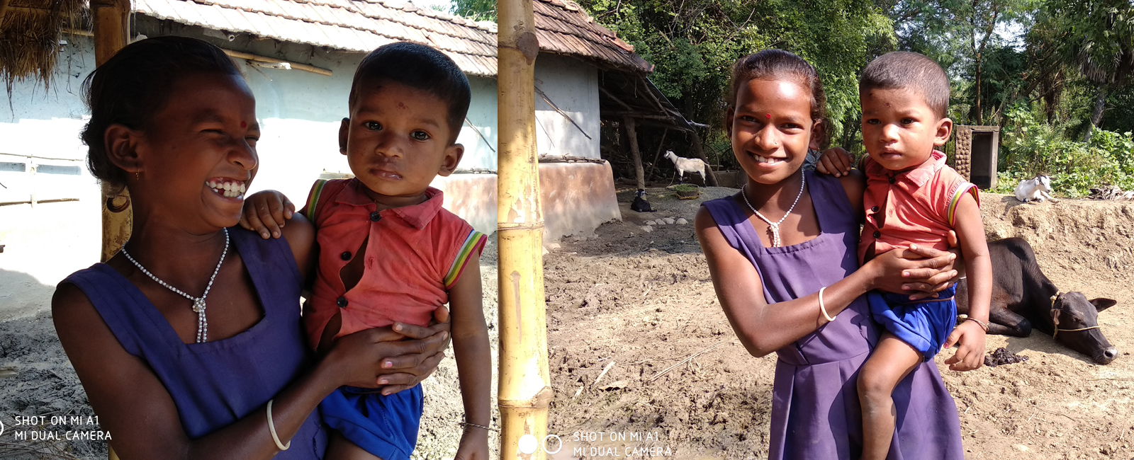 M & D Development Trust (MDDT)