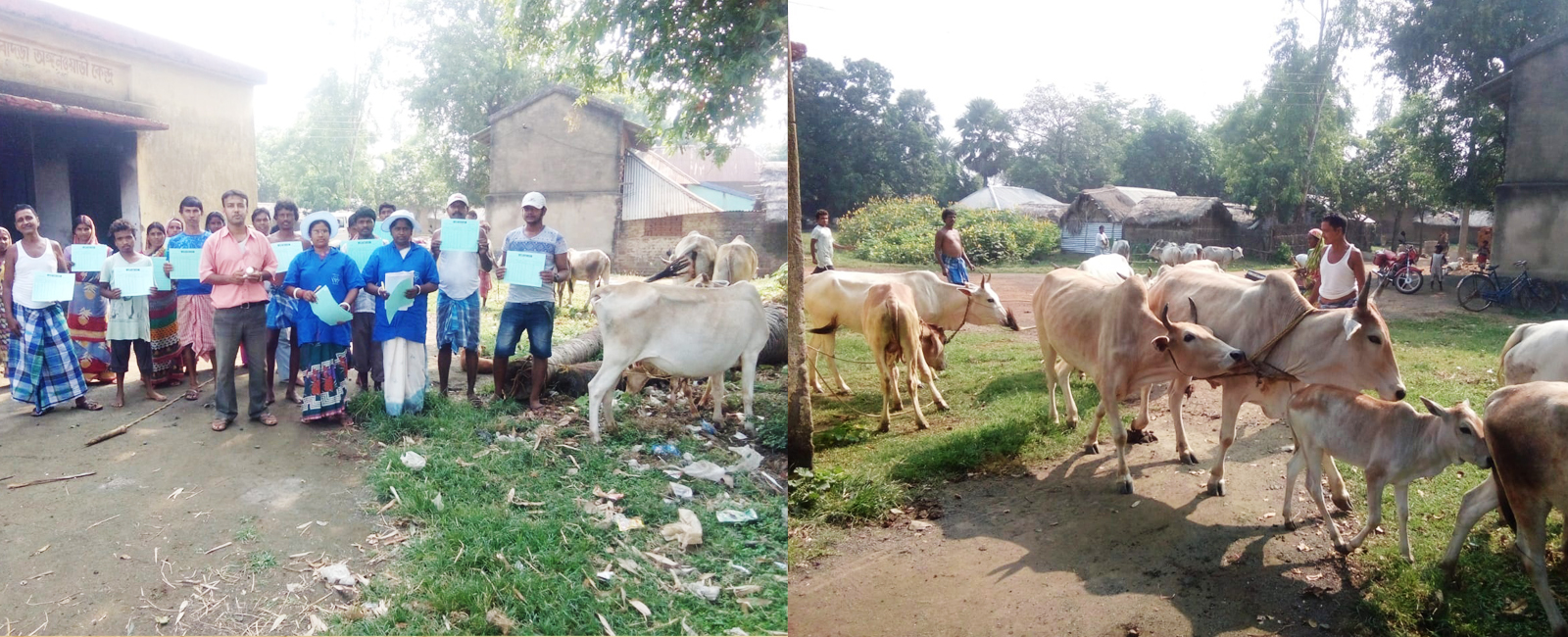 M & D Development Trust (MDDT)