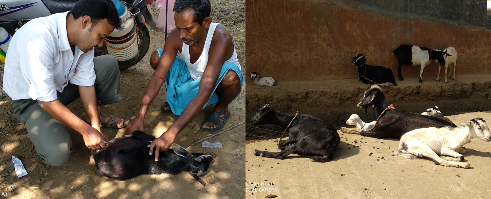 M & D Development Trust (MDDT)