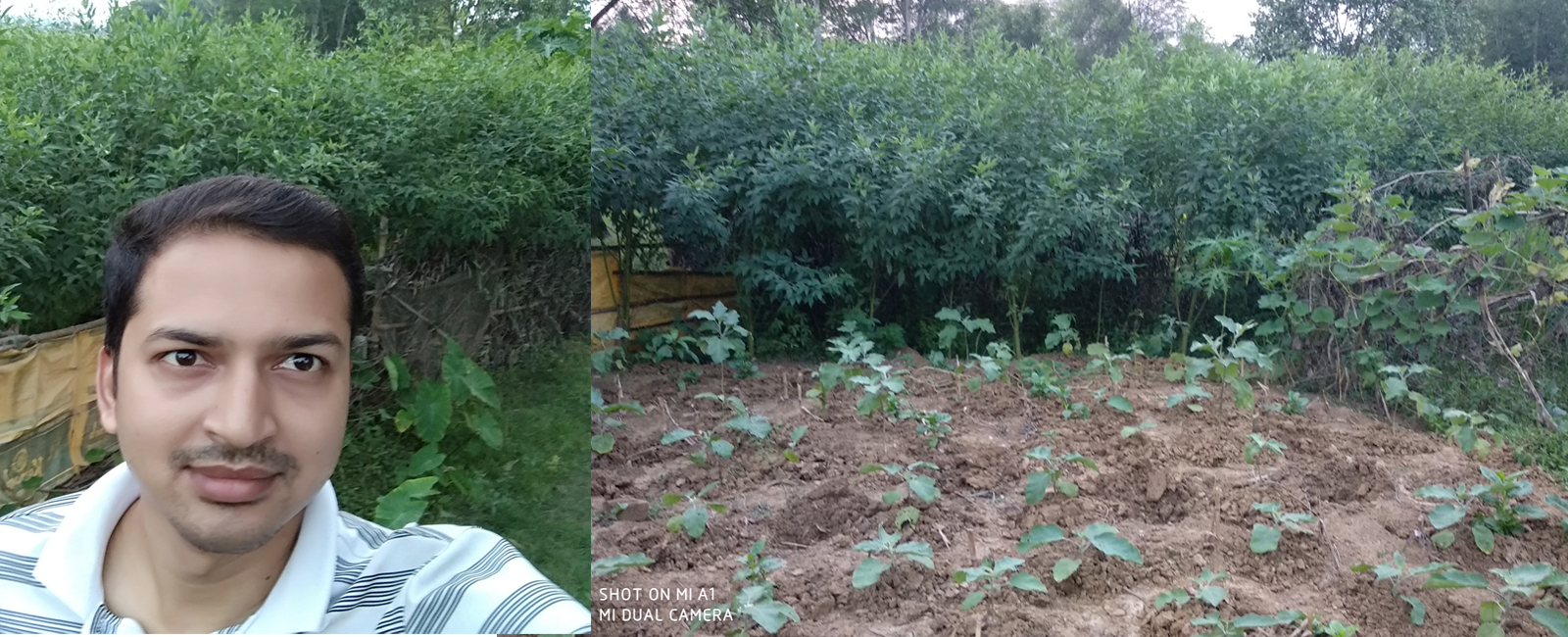 M & D Development Trust (MDDT)