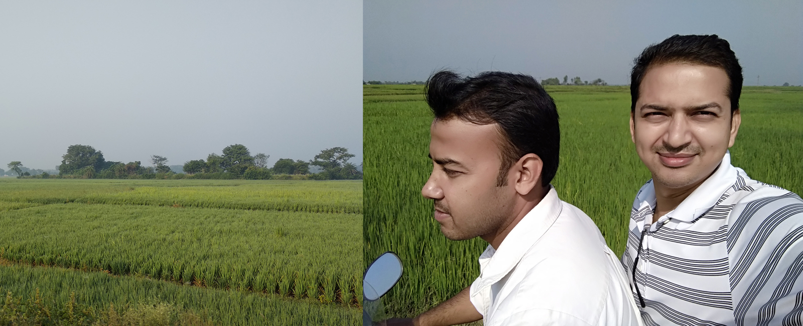 M & D Development Trust (MDDT)